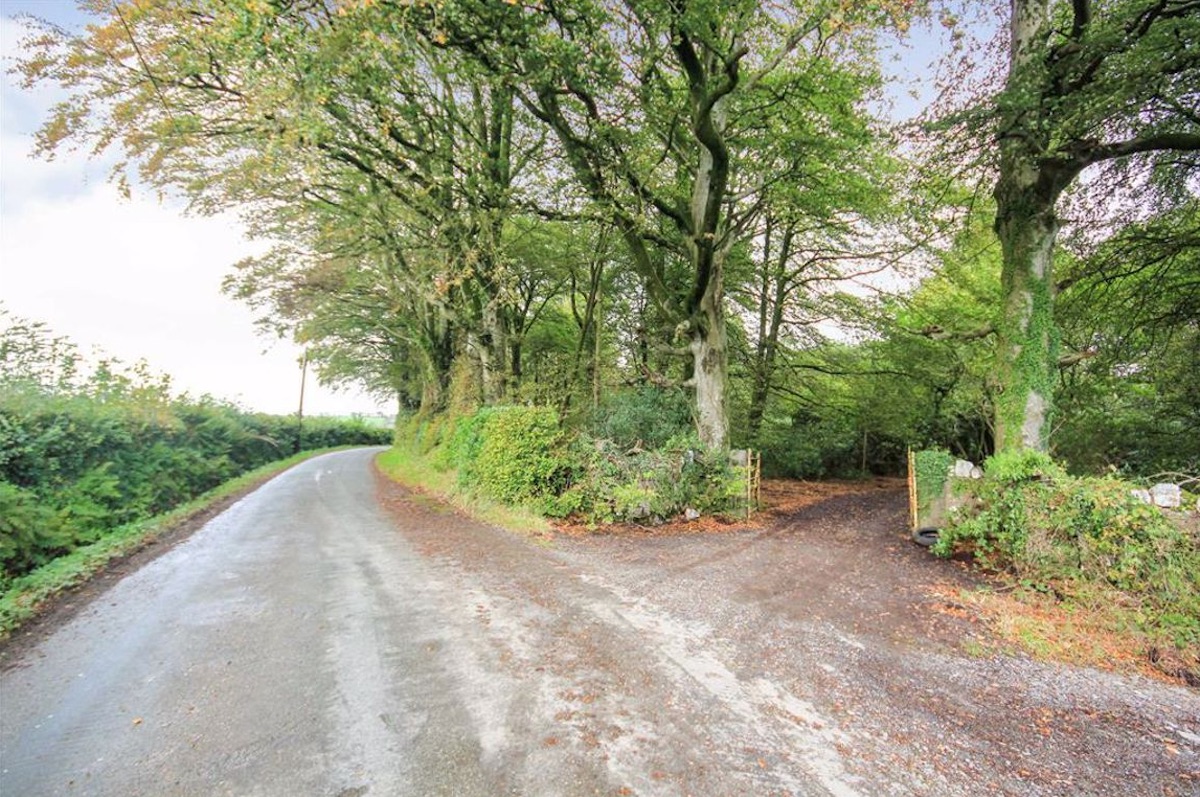 Country manor house for sale in Wales for £40,000 but why is it so cheap?